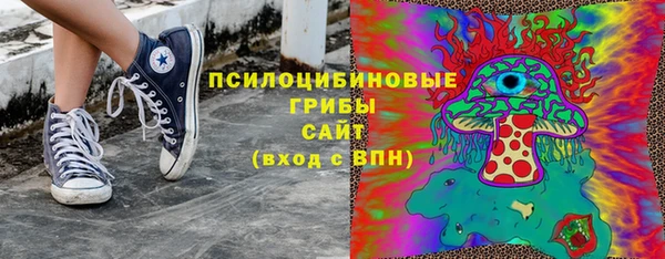 гидра Алзамай