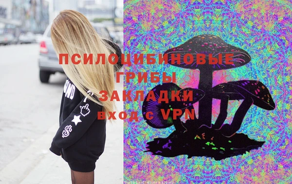 гидра Алзамай