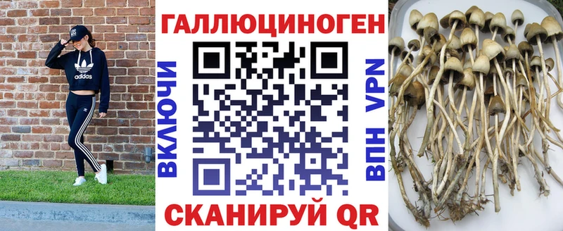 Псилоцибиновые грибы мицелий Лагань
